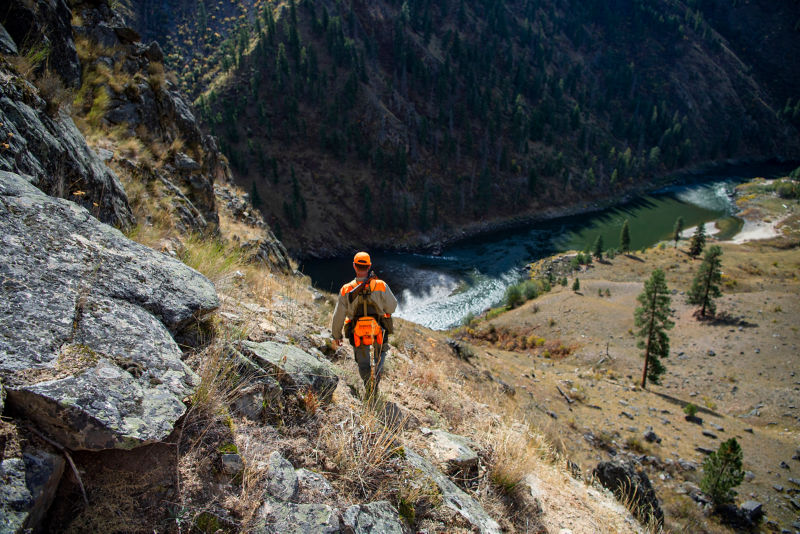 A hunter walks down a rocky hill with his shotgun over his shoulder.