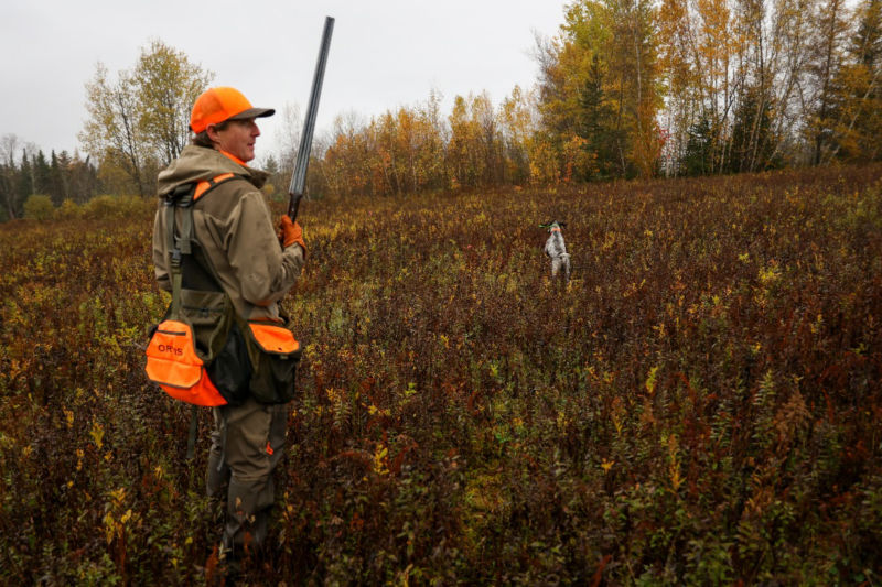 A hunter turns just as his dog leaps through the brush toward the tree line.