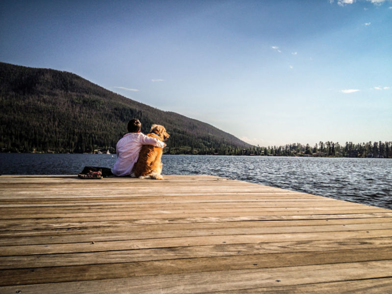 Someone sitting at the end of a dock snuggling with their dog