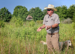 Jimmy Bryan catches a rock in a field with his golden retriever.