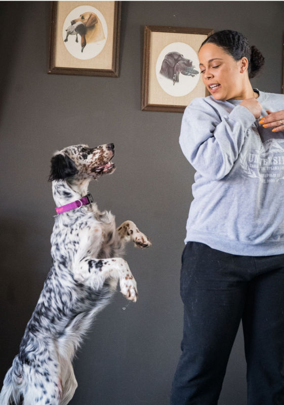A black and white dog attempting to jump up on a woman