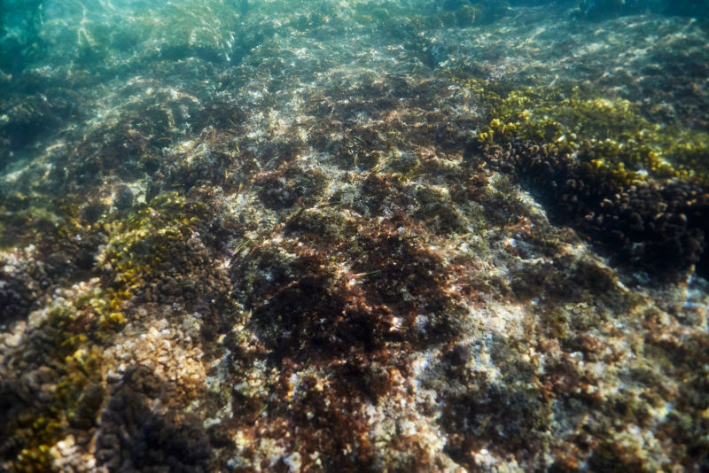 Dappled light on underwater rocks.