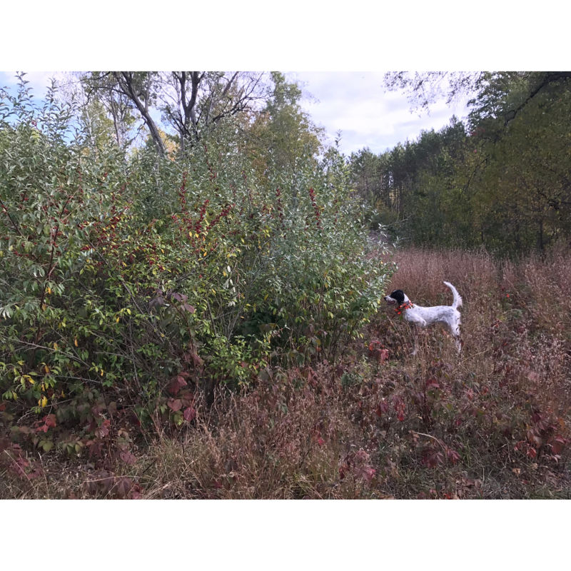 Hawkins Outfitters, MI -  image number 2