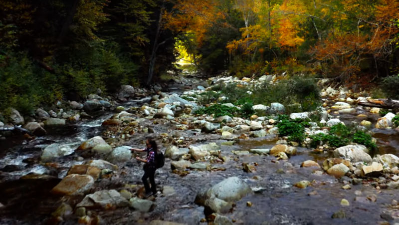 An aerial view of a rocky river in the woods with someone fishing