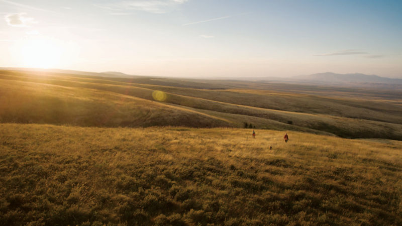 Two hunters walk through a huge golden field while the sun rises over the hills