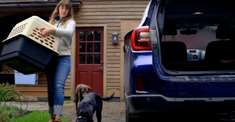 Hannah packing up the car with her two dogs following her.