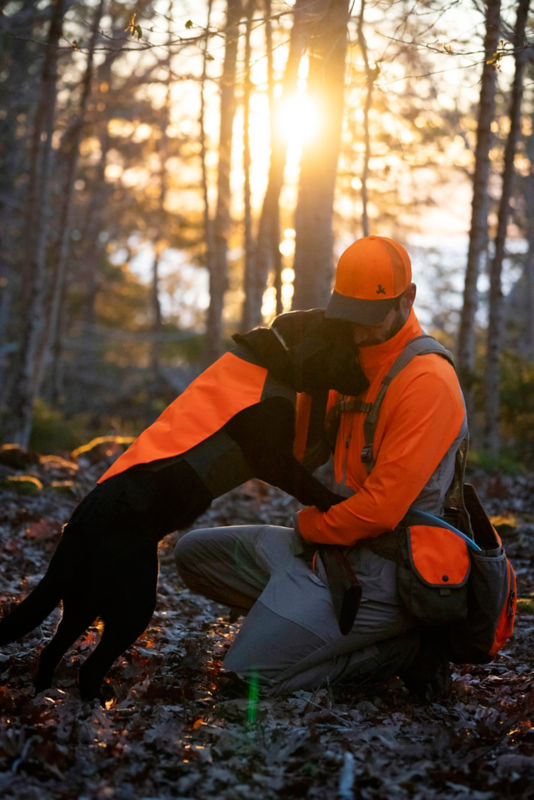 Hi-Vis Dog Field Vest - BLAZE image number 1