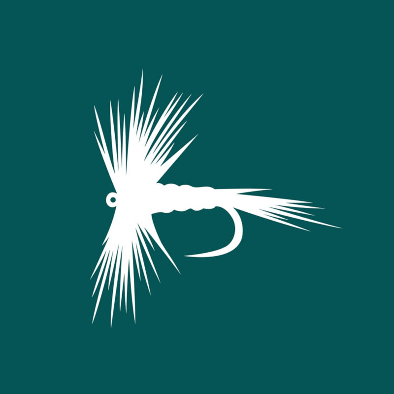 A green round logo surrounds a white dragonfly.