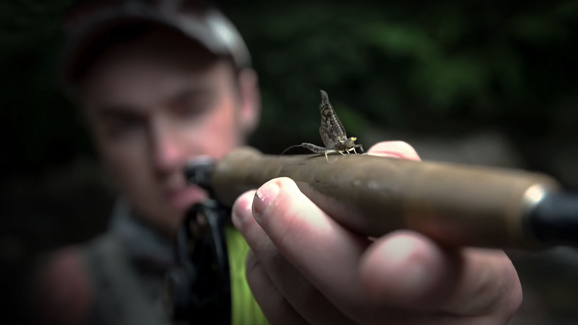man holding fly rod with fly alit on top