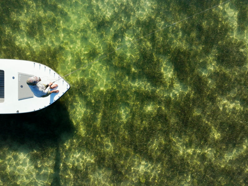 An angler fly fishes off the front of a skiff in emerald green waters.