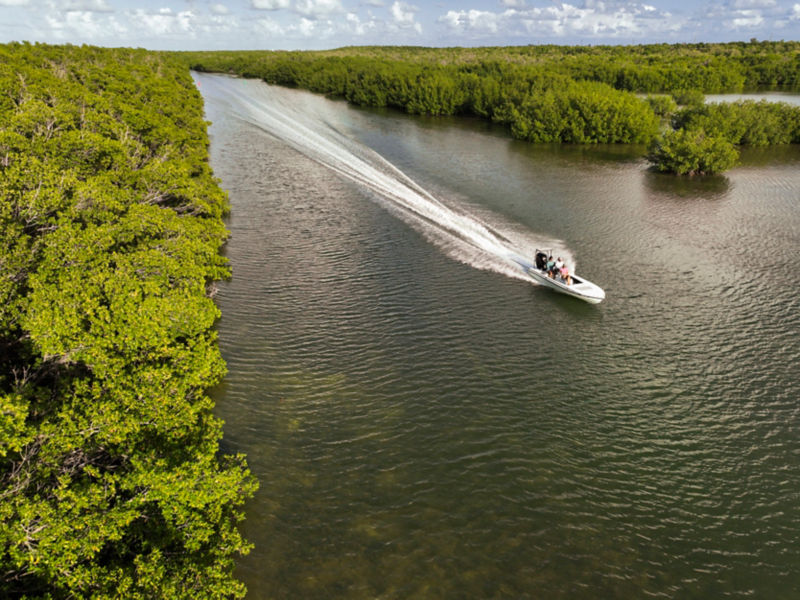 A boat plies a river through the Everglades.