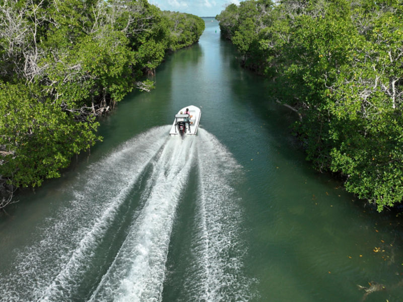 A small boat speeds down a river to an inlet in Florida.