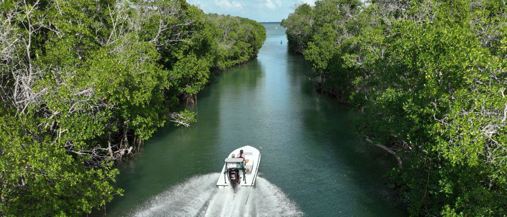 A small boat speeds down a river to an inlet in Florida.