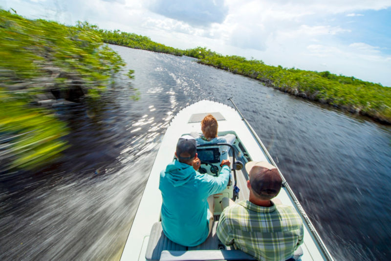 Three people speed through the Everglades in a motor boat.
