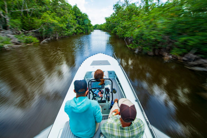 Three anglers in a speeding boat riding through the everglades, seen from behind.