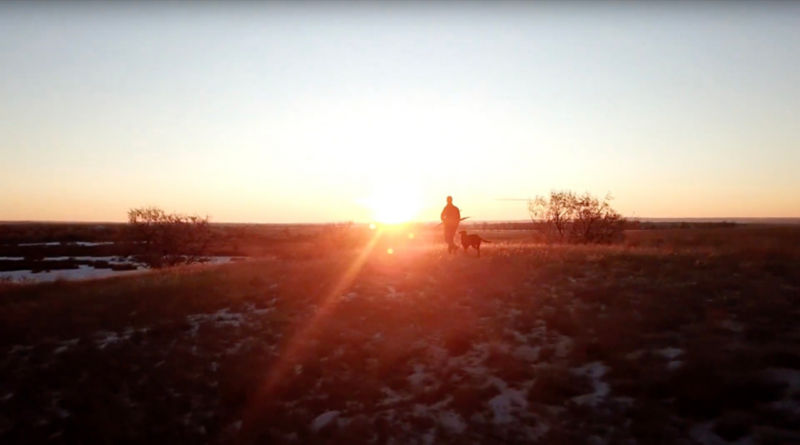 A hunter and dog walking in an open landscape