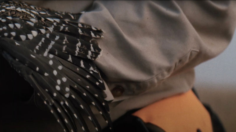 A close up of bird plumage being held by a gloved hand