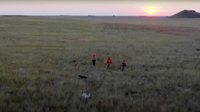 An aerial view of a group of people in hunting gear walking toward a sunset with their hunting dogs