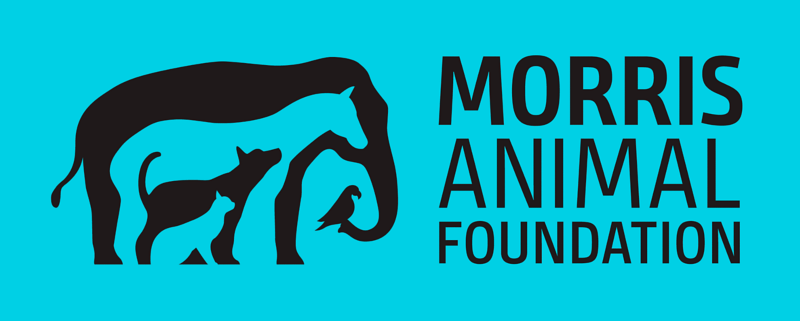 Morris Animal Foundation Logo
