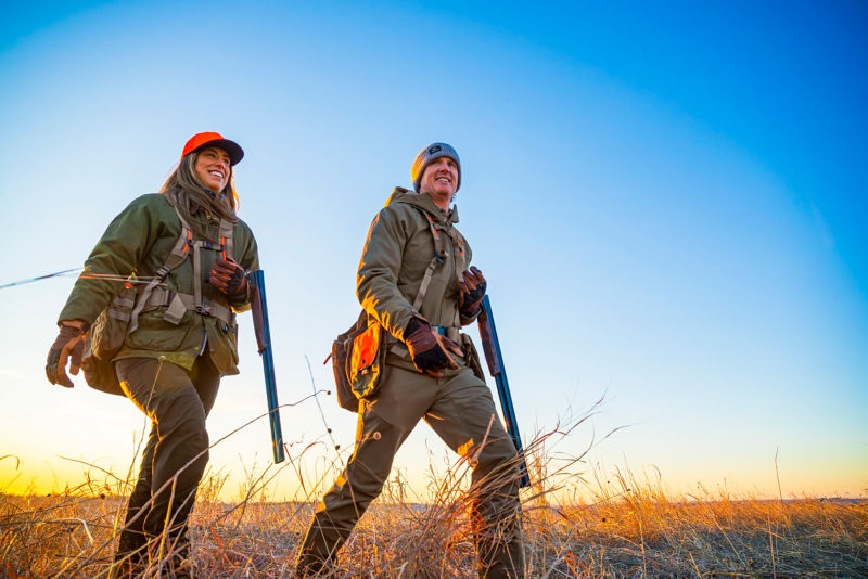 A Hunter in a PRO HD Upland Softshell Hoodie walks through a cornfield at sundown.