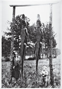Leigh and his mother standing in front of two large crocodiles hanging from a pole