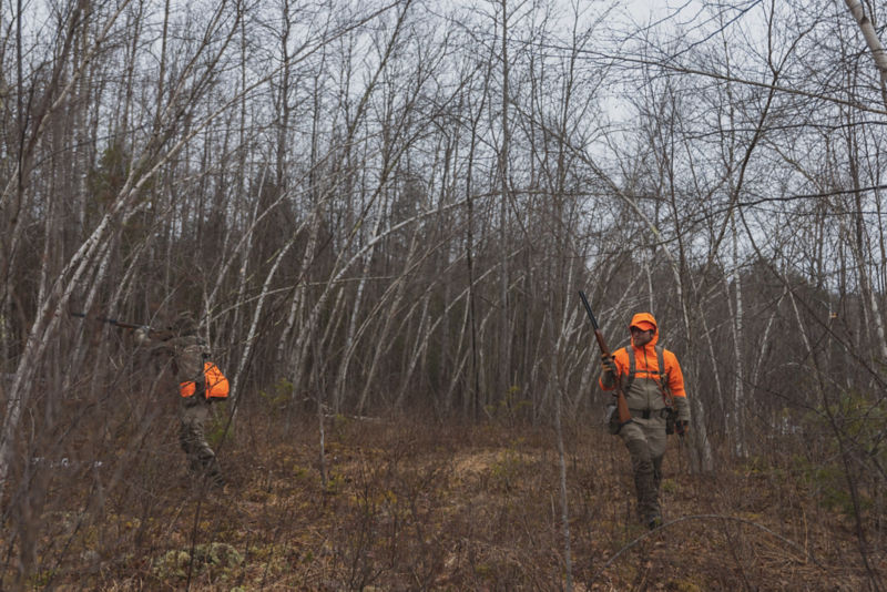 Two hunters shooting in a field of dry grass.