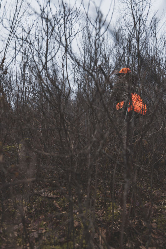 Bare gray and brown sticks and woods against a cloudy sky.