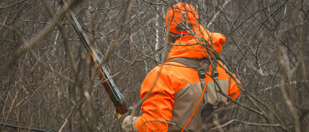 A hunter in blaze orange follows his dog into high brush.
