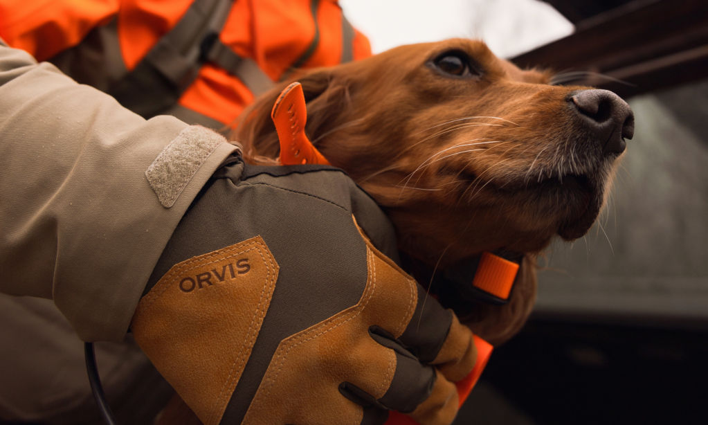 A hunter holds back their dog with a gloved hand and tightly adjusted cuff of their jacket.