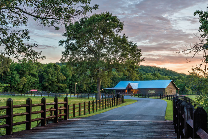 Orvis Two-Day Quail School At Pursell Farms, AL -  image number 3