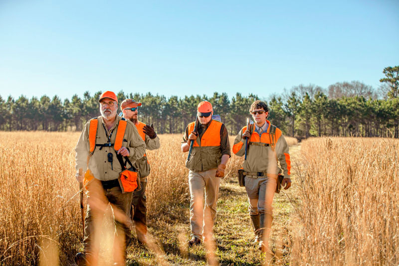A groups of hunters walk a path through golden grass