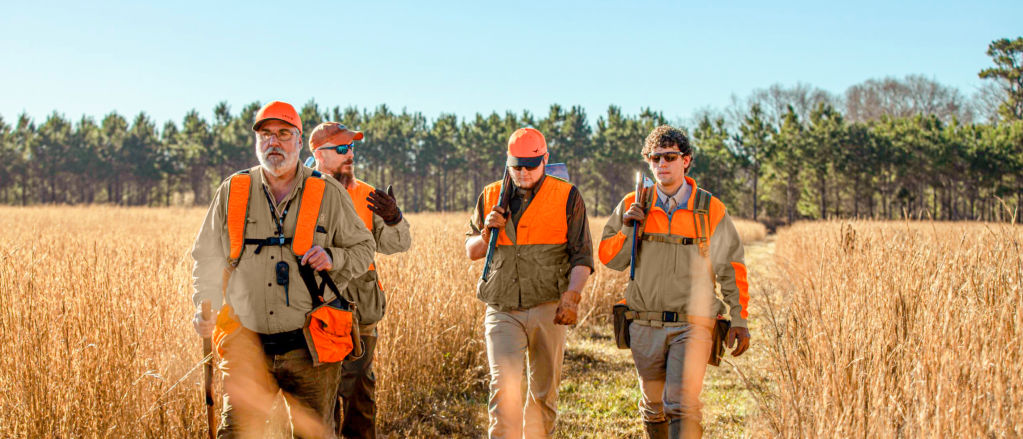 Four hunters in blaze orange walk a wide trail through golden grass