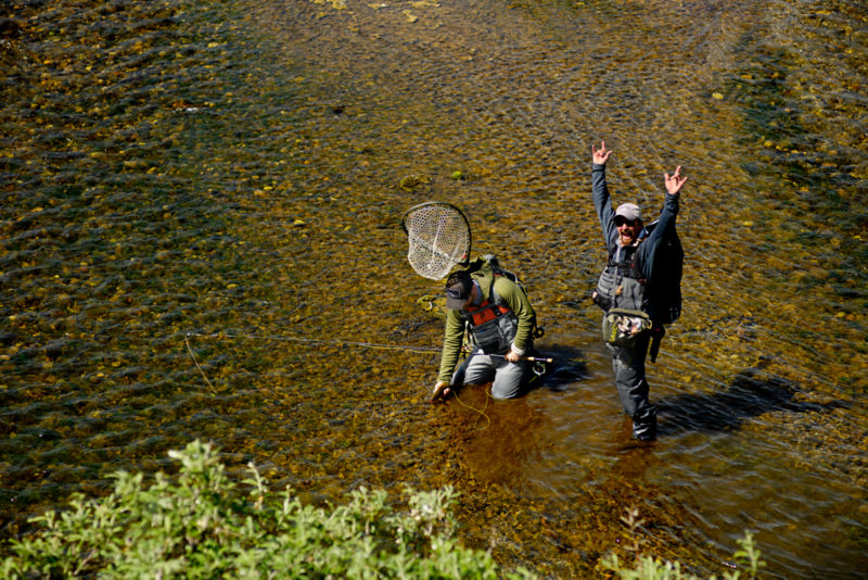 Looking down from the bank to a guide in a river with an angler releasing a fish.