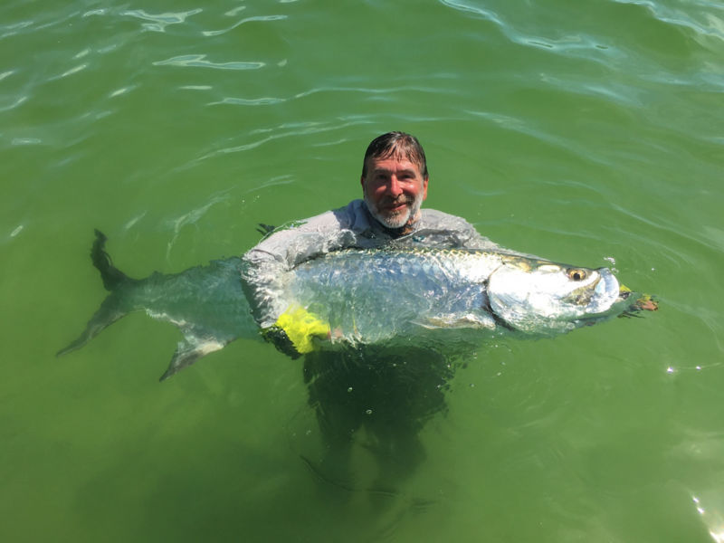 Tom Rosenbauer holding a giant fish in green waters.