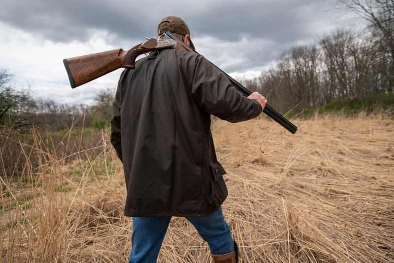 A view from the back of a hunter walking through bracken with a shotgun over his shoulder.