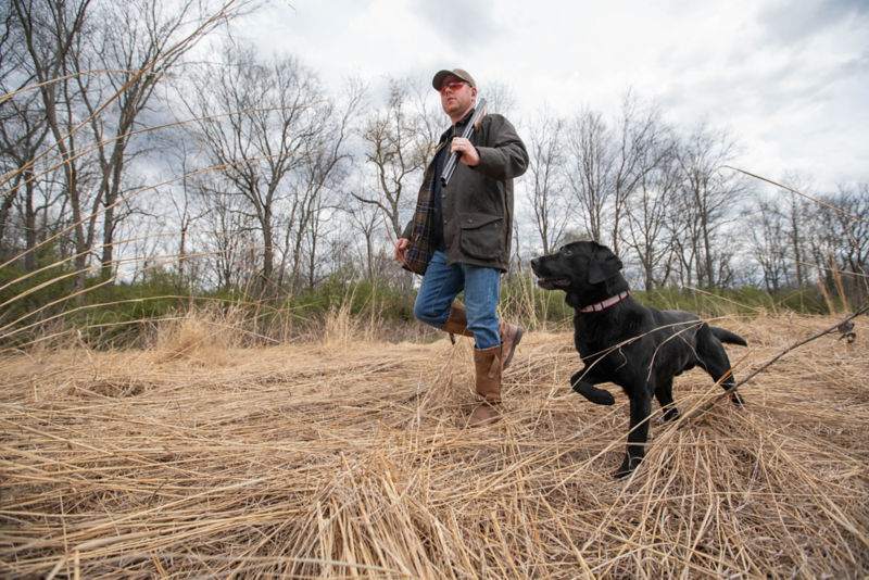 A hunter walking through bracken with a black lab at his side.