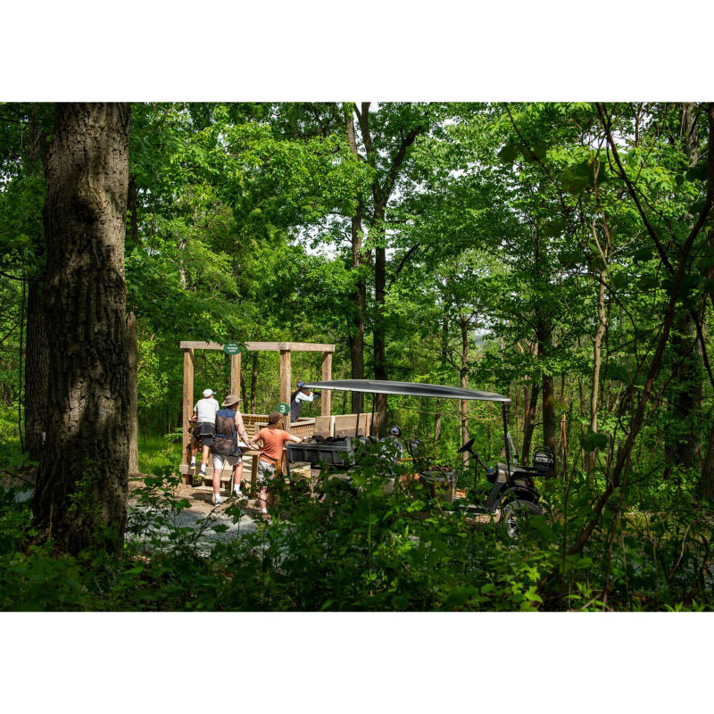 A group of people in a stand nestled in the woods