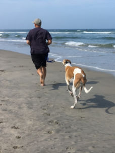 A man and a greyhound running on a beach
