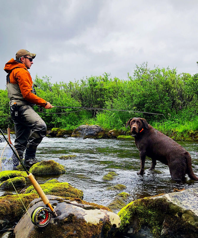 A wader-clad man fly fishing with his chocolate Labrador Retriever in the water.