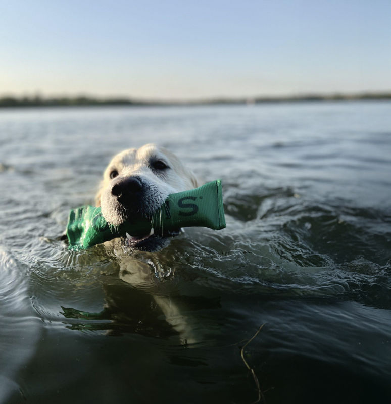 Orvis Bumper -  image number 2