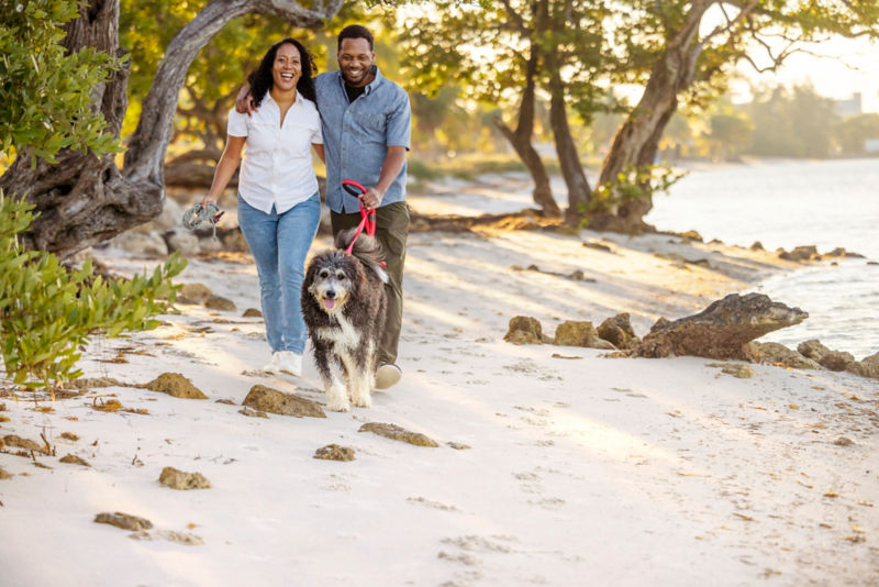 A couple walking their dog on a beach
