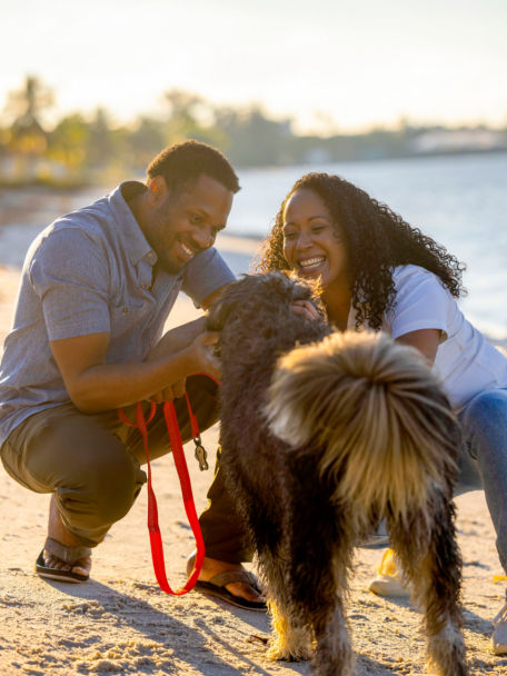 Couple walks a fluffy dog during golden hour