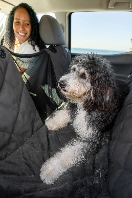 A woman sitting in the front seat of a car looking at her dog sitting in the back seat