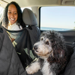 A woman sitting in the front seat of a car looking at her dog sitting in the back seat