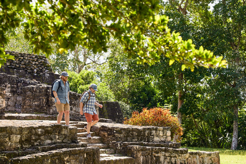 Out-Of-Office Shorts - FIELD KHAKI image number 4