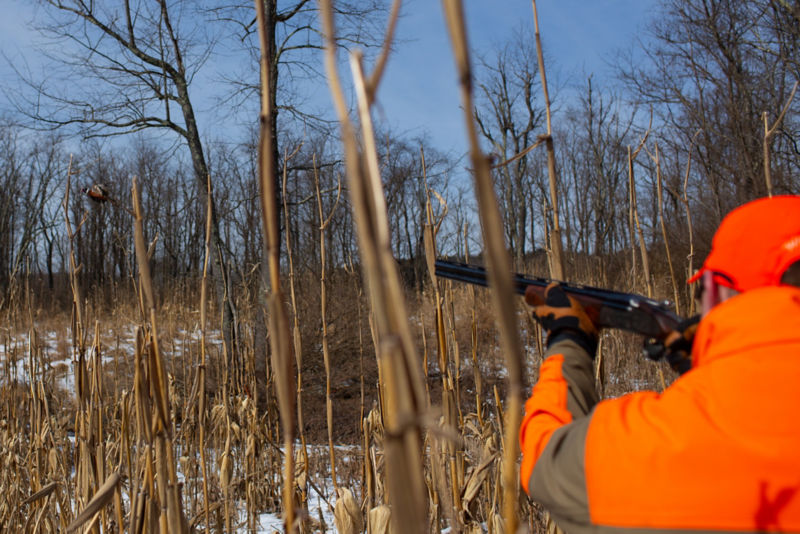 Gazing down the barrel of a hunter in blaze orange