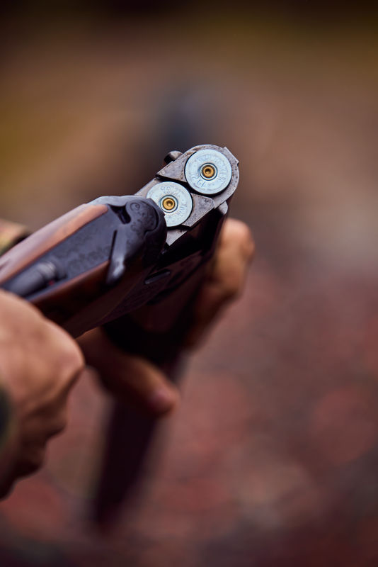 A broken open shotgun, showing two loaded shells.