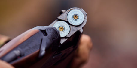 A broken open shotgun, showing two loaded shells