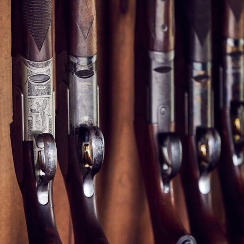 A close-up image of shotguns on a rack