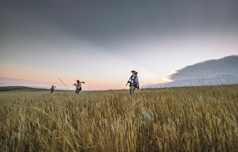 Three hunters in blaze orange ball caps walk through a field at sunrise.
